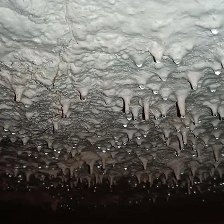 Meublé De Tourisme Petit Chail Savinien *