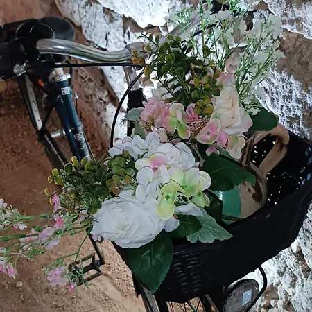 Meublé De Tourisme Petit Chail Savinien Hébergement de vacances Saint-Savinien