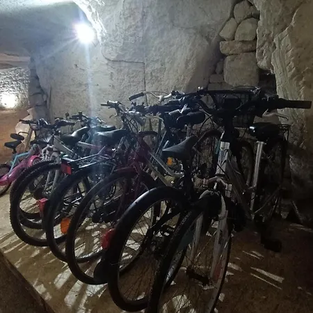 Hébergement de vacances Meublé De Tourisme Petit Chail Savinien Saint-Savinien