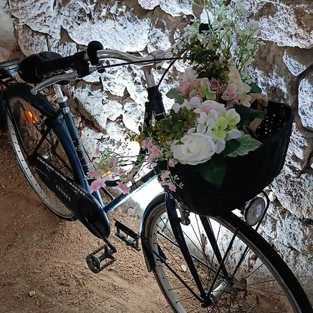 Meuble De Tourisme Petit Chail Savinien Feriehus Saint-Savinien