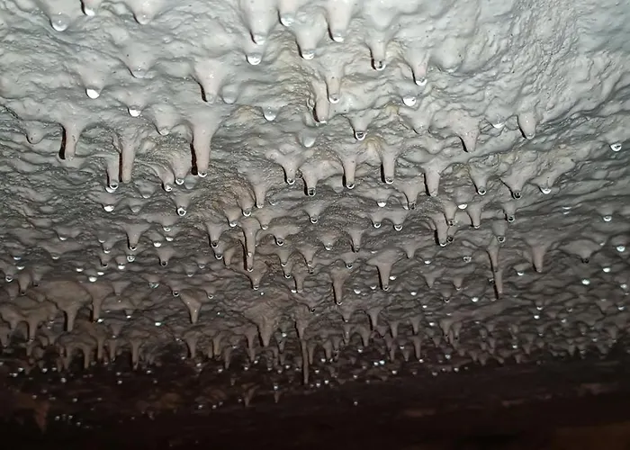 Meublé De Tourisme Petit Chail Savinien * Saint-Savinien