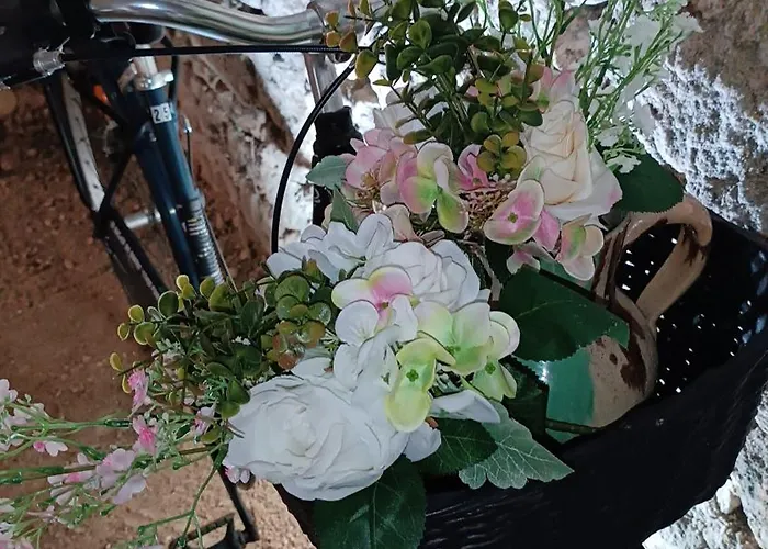 Meublé De Tourisme Petit Chail Savinien Сasa de vacaciones Saint-Savinien