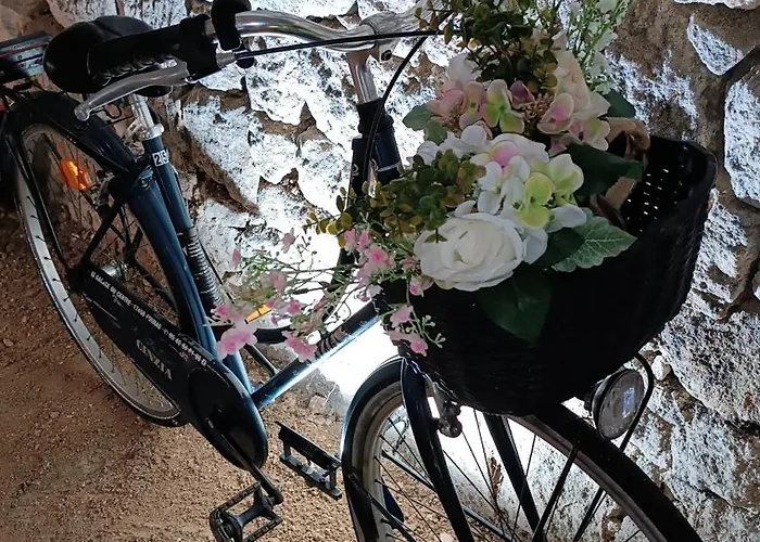 Meublé De Tourisme Petit Chail Savinien Сasa de vacaciones Saint-Savinien